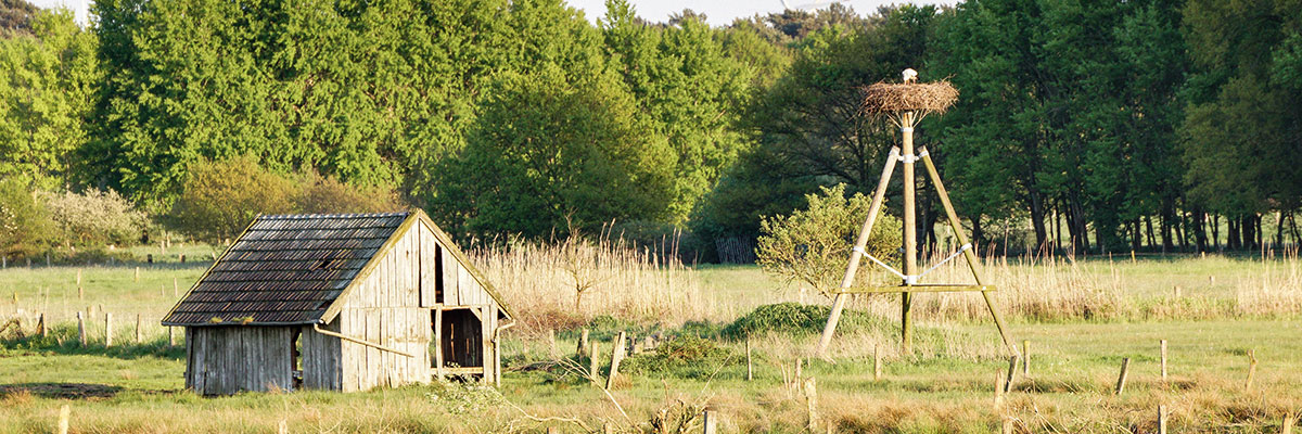 Alte Kanzel Alte Kanzel