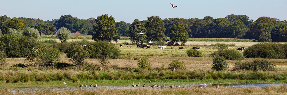 Kanzel zum Venn Kanzel zum Venn