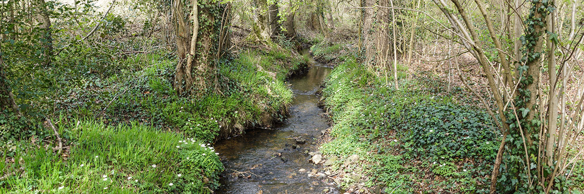 Essingholtbach Essingholtbach