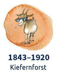 kiefernforst