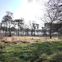 heide