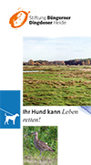 hunde-flyer