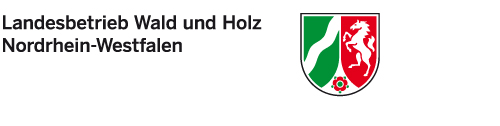 wald und holz