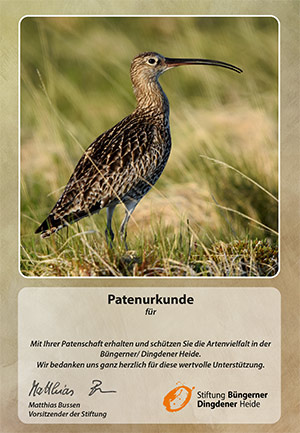patenurkunde