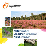 Stiftung
