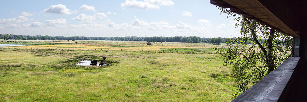 Aussichtskanzel