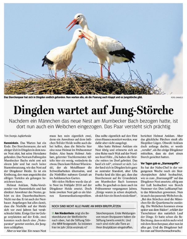 storch