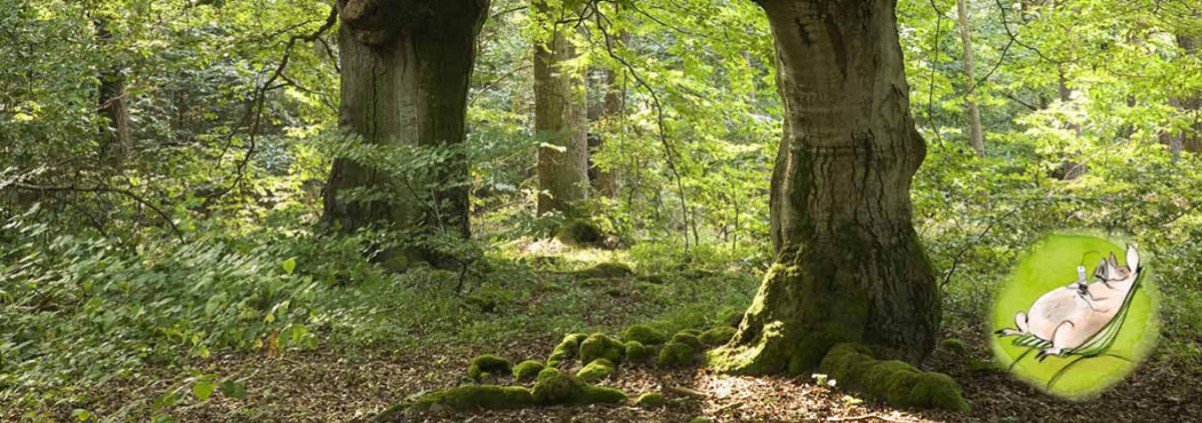 hudewald