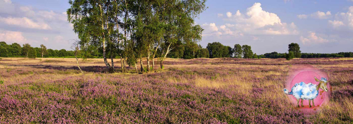 heide