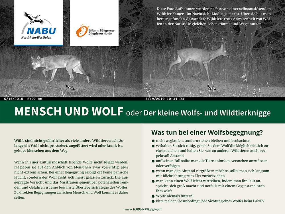 190617Wolfs Schild 4 web